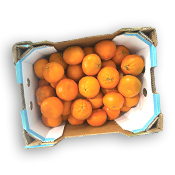 Tangerine Murcott
