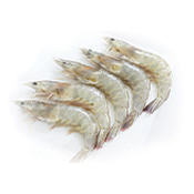 Shrimp Head-On 30-40