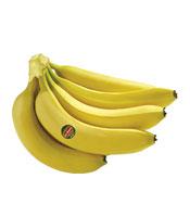 Regular Banana